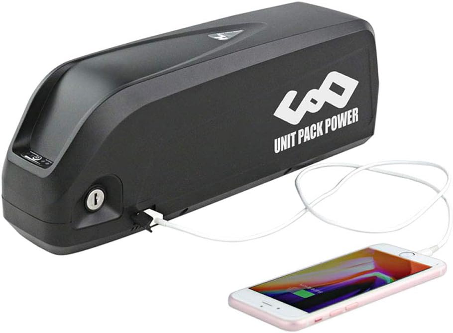 Ebike Battery with Charger & BMS Board P3198