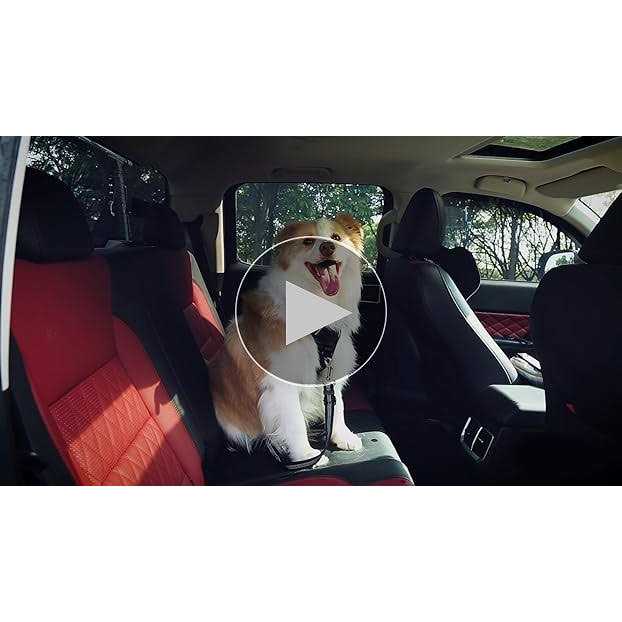 3 Piece Set Adjustable Dog Car Seat Belt R9377