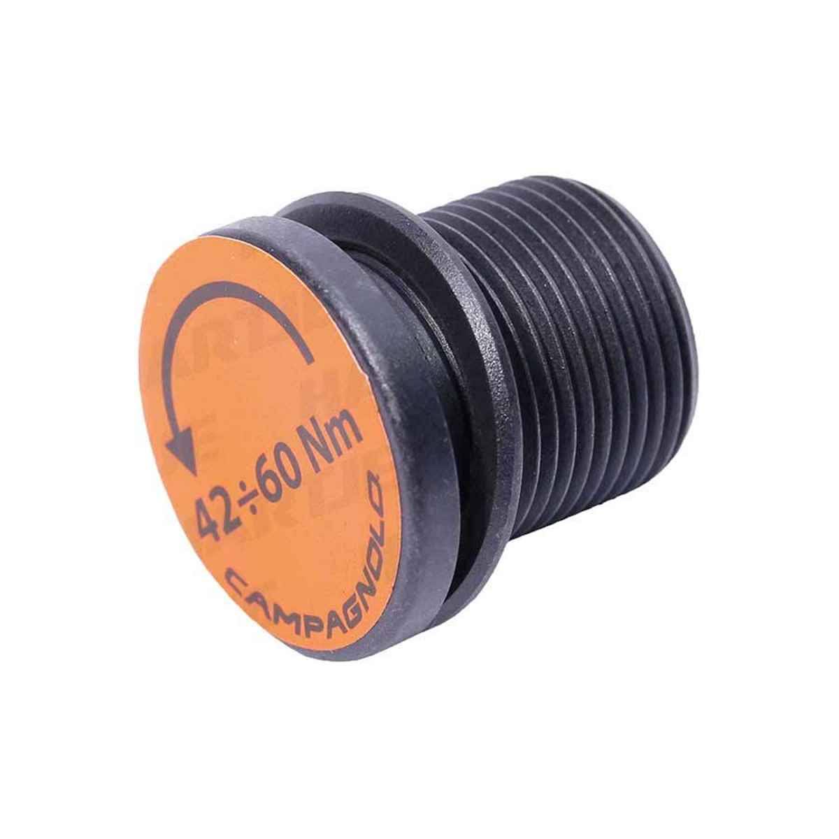 12s Ultra-Torque Crank Bolt I694692