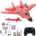 2.4Ghz 2 Channel Remote Control F22 RC Airplane C1635
