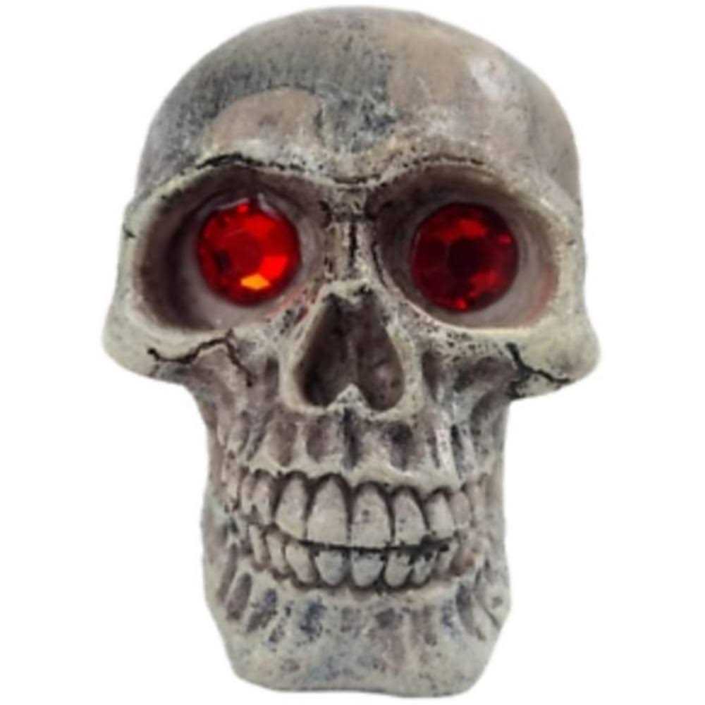 Skull Gazer Ornament U166302