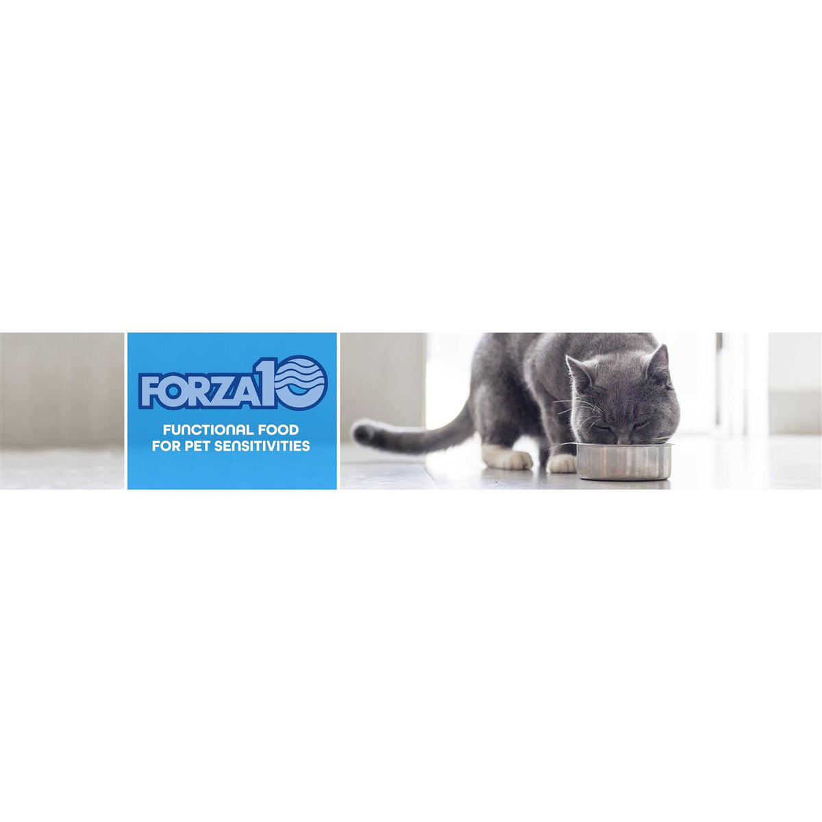 Kidney Renal Active for Cats H9240