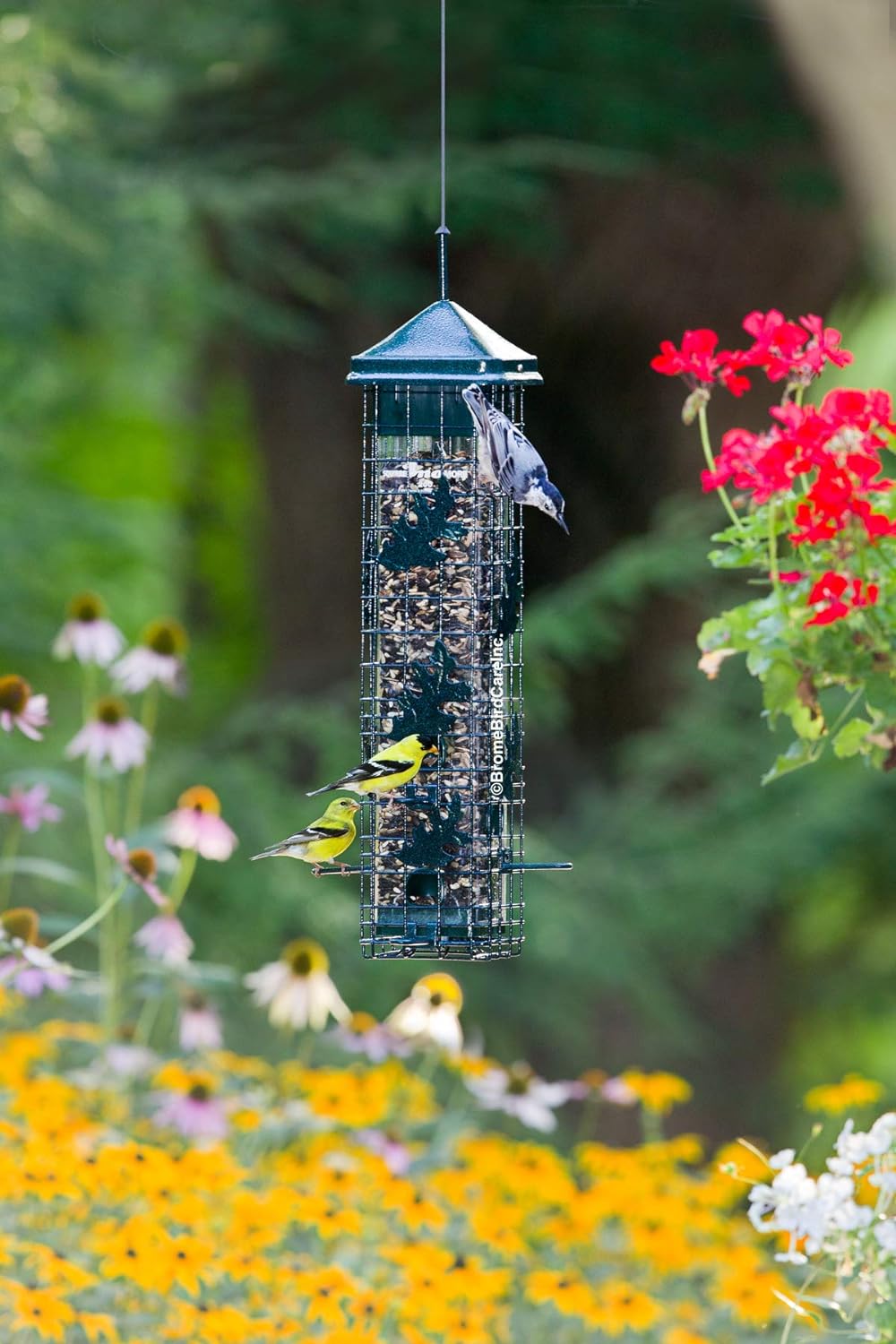 Squirrel-proof Bird Feeder with 6 Feeding Ports, 3.4-pound Seed Capacity S8856