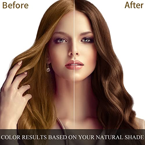 Dark Brown Hair Dye Shampoo 3 in 1 500ML I228