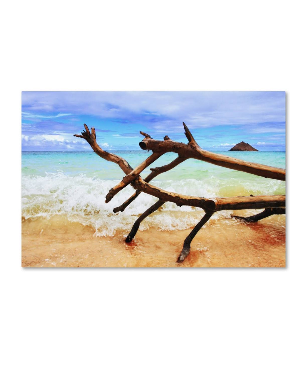 Canvas Art U486