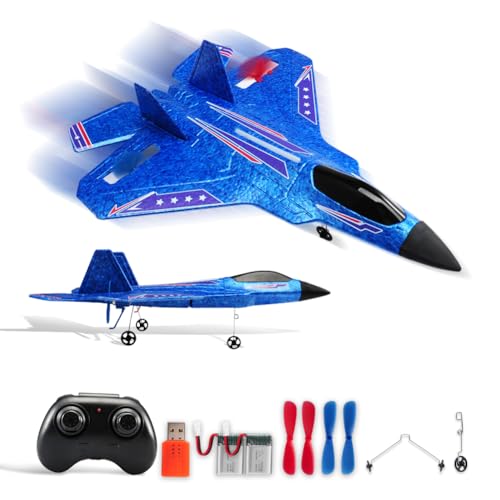 2.4Ghz 2 Channel Remote Control F22 RC Airplane C1635