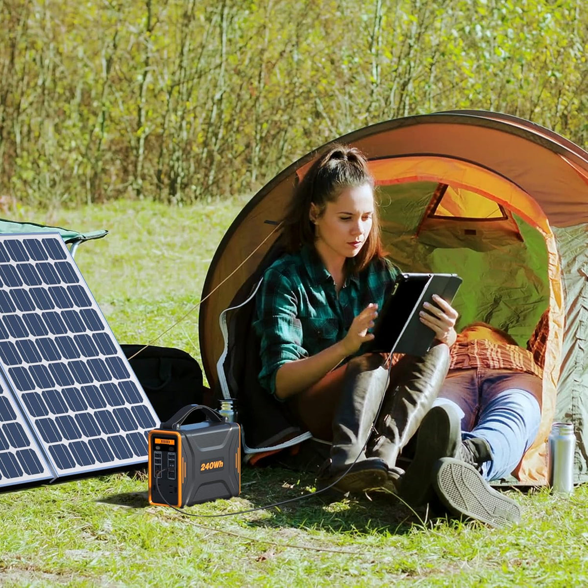 Portable Power Station, 240Wh LiFePO4 Battery, 200W Pure Sine Wave AC Outlet D73046