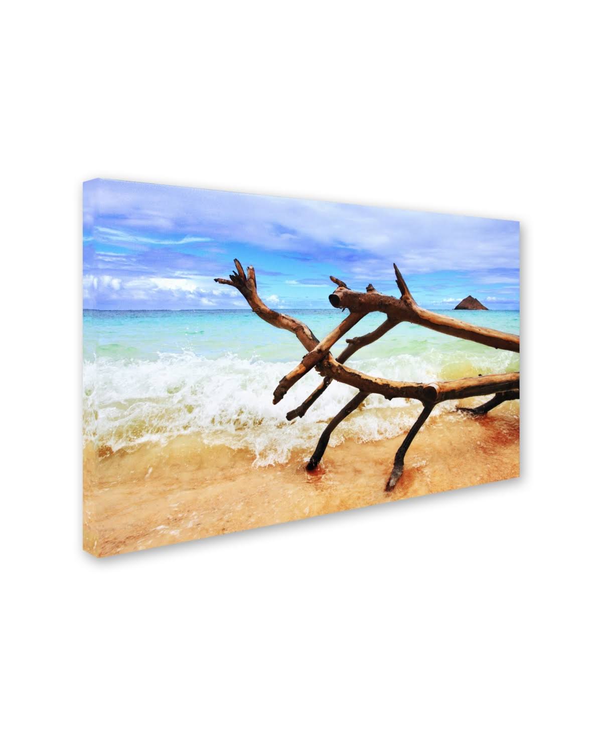 Canvas Art U486