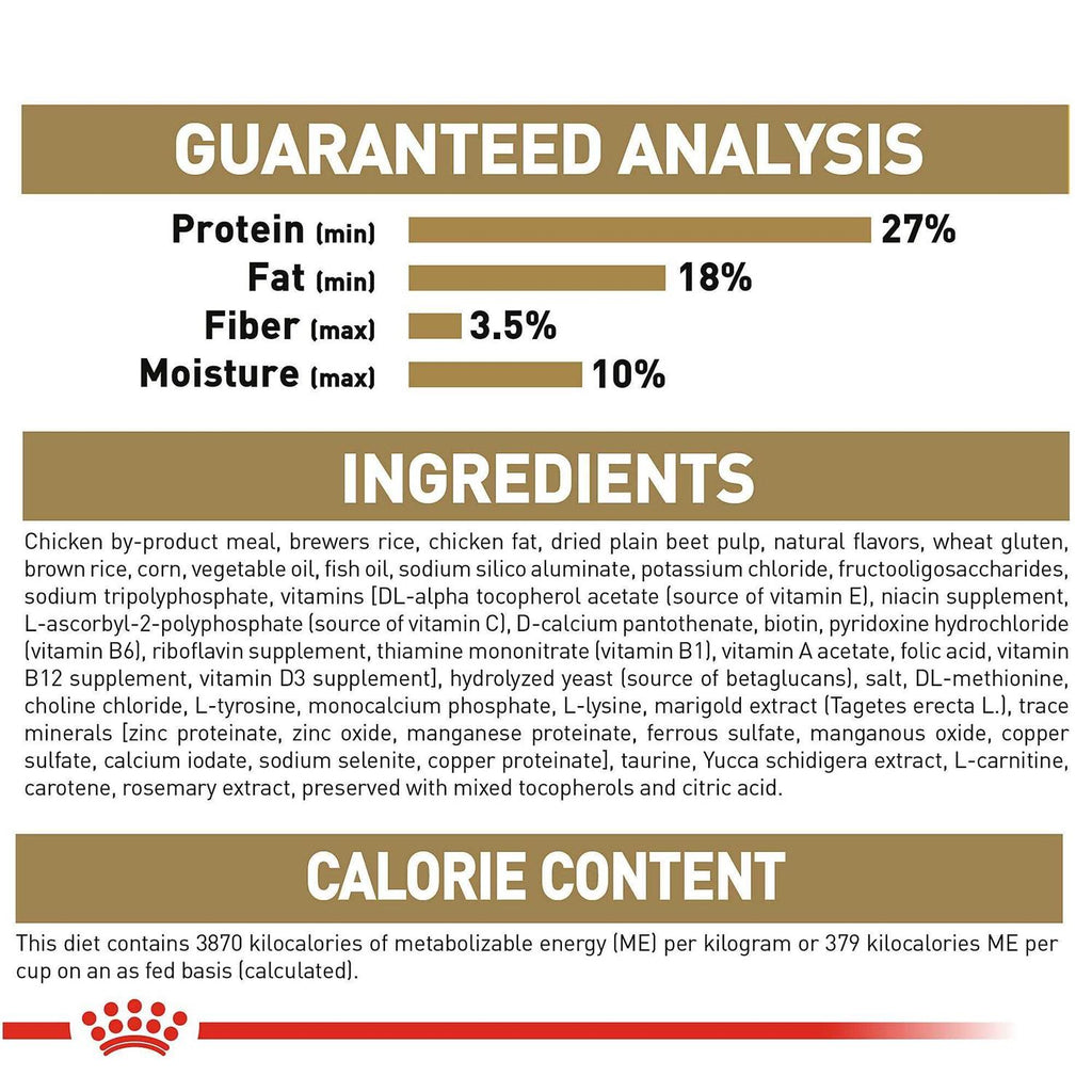 Yorkshire Terrier Puppy Dry Dog Food J60803