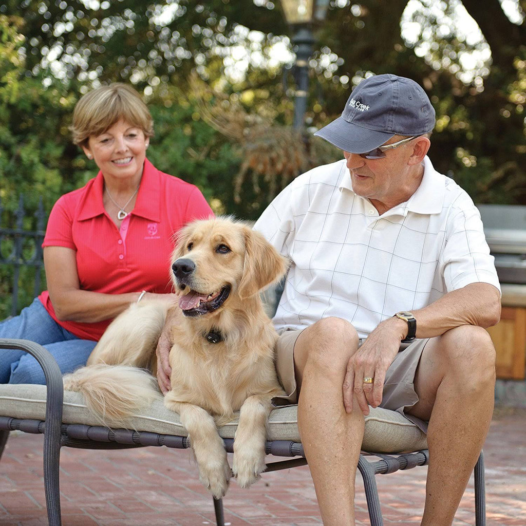 Waterproof In-Ground Fence for Dogs and Cats G382581