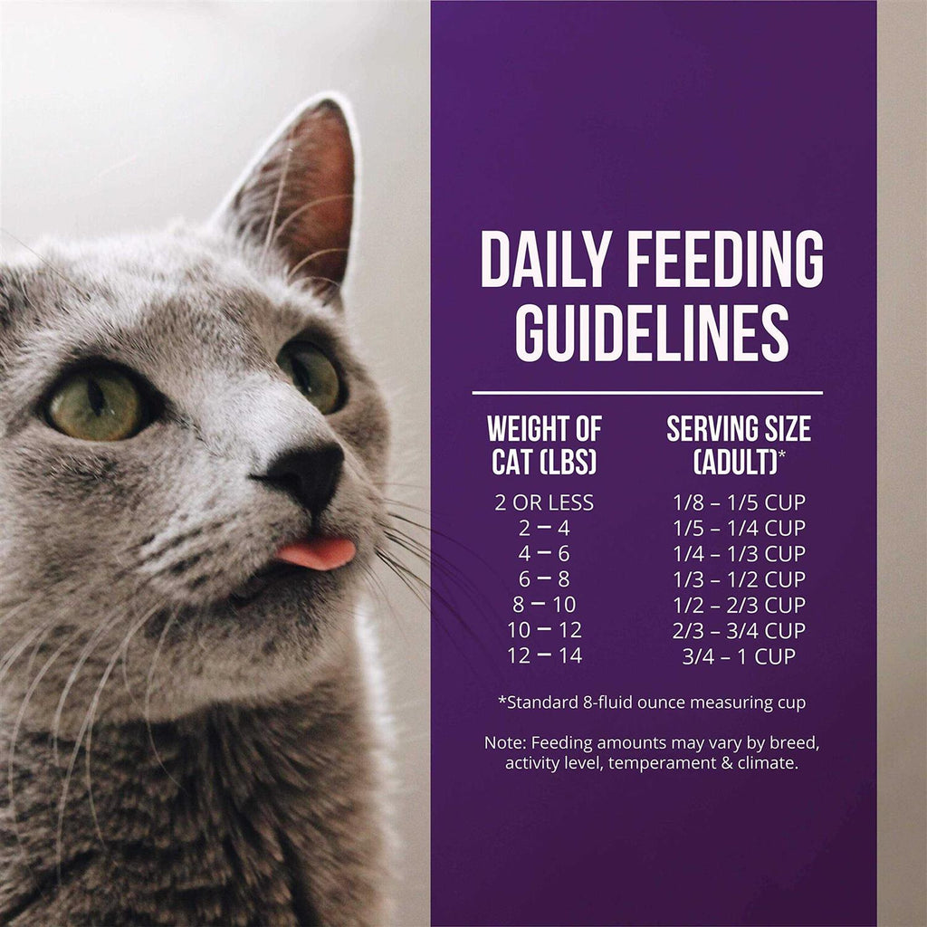 Quail & Duck Meal Dry Cat Food V8211