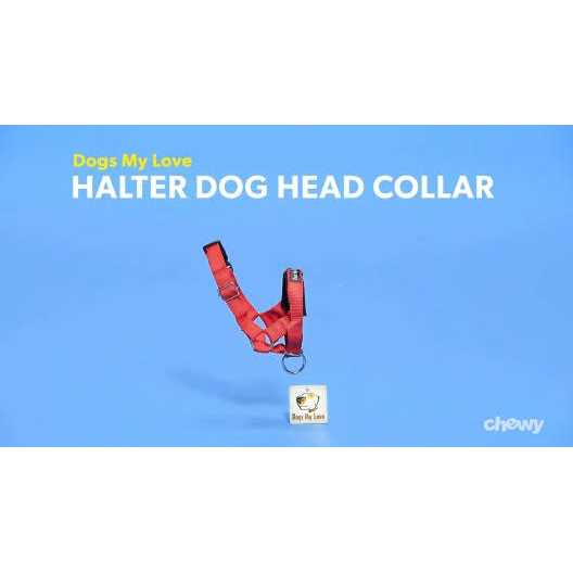 Dog Head Collar Halter X76987