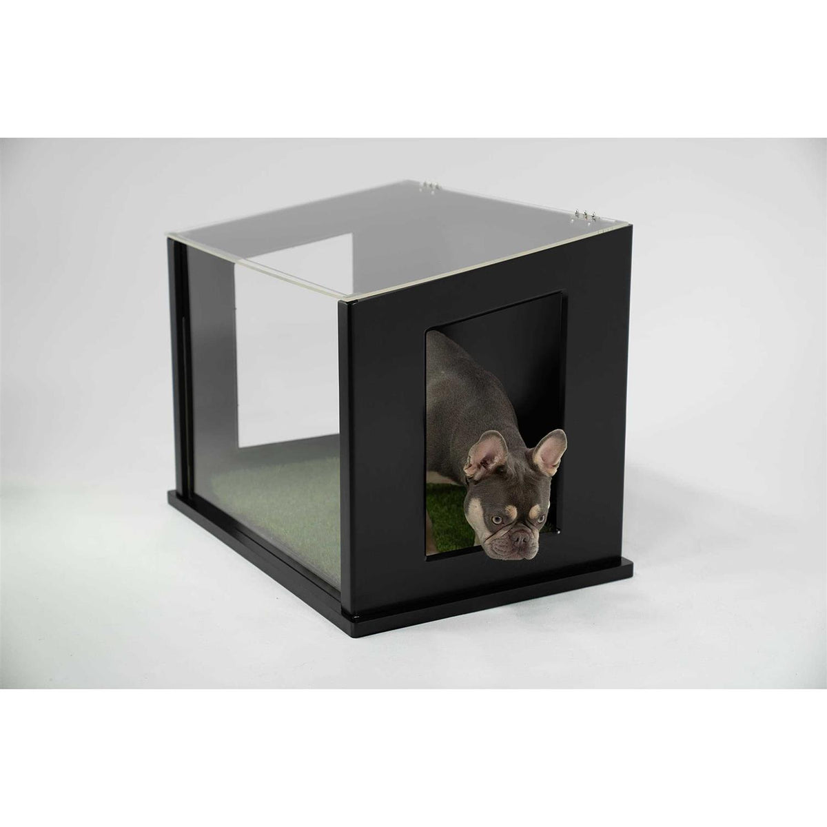 Dog or Cat Potty P20431