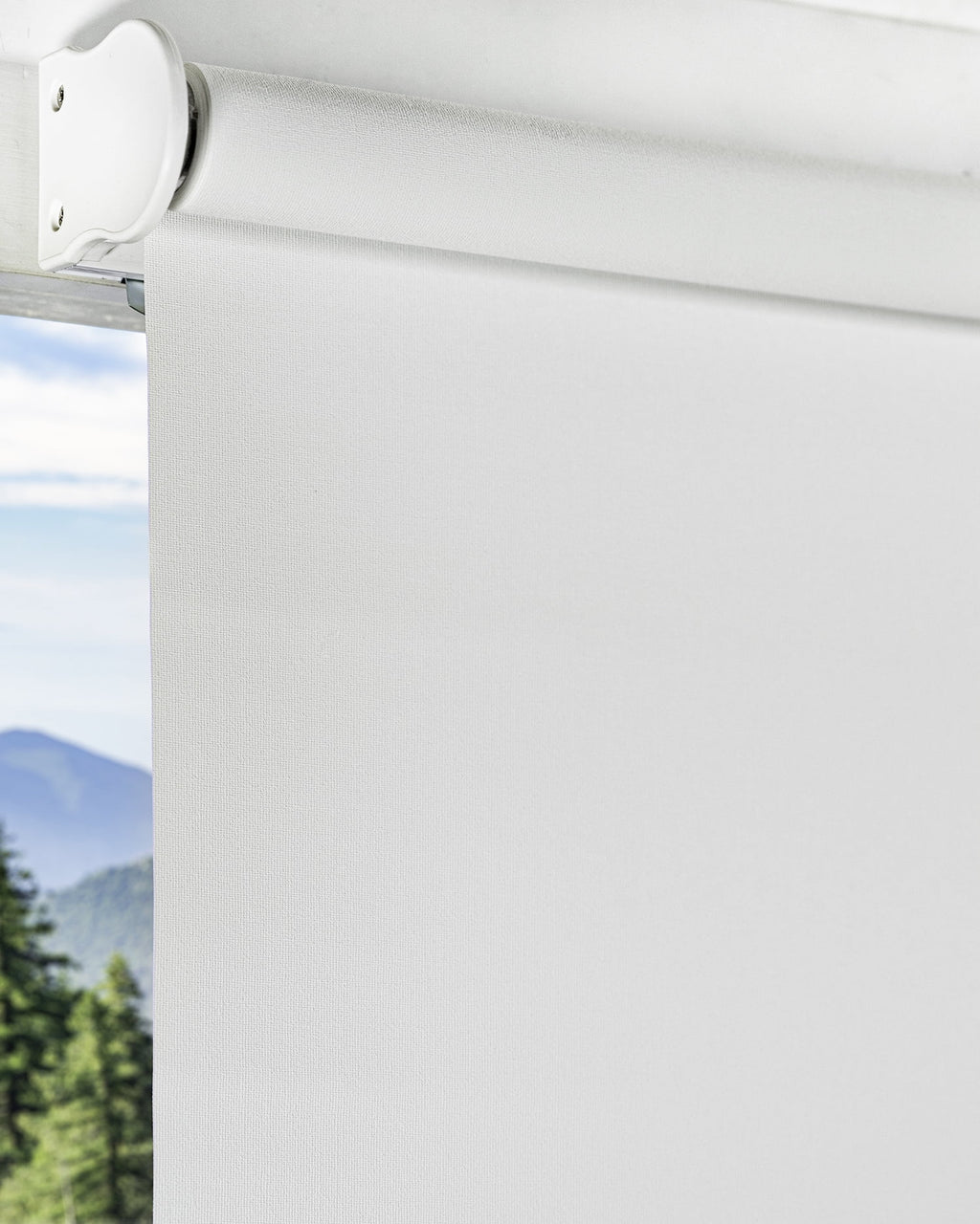 Cordless Roller Shade Blackout 23"W X 72"H Q229