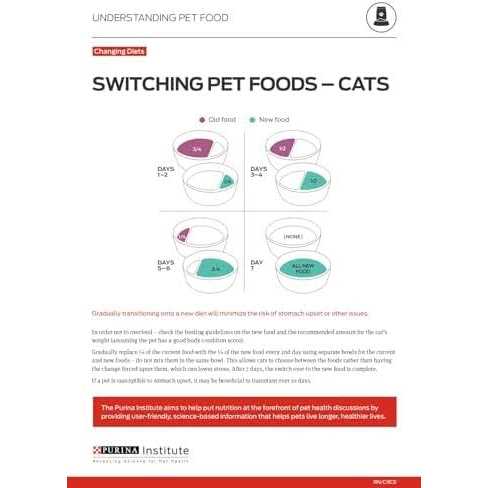 Rice Dry Cat Food A619