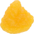 5 Pound Fat Anatomical Model TPE Z736