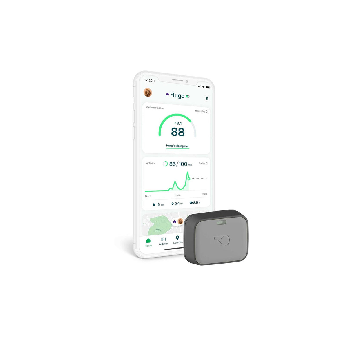 Dog GPS Tracker Y6077