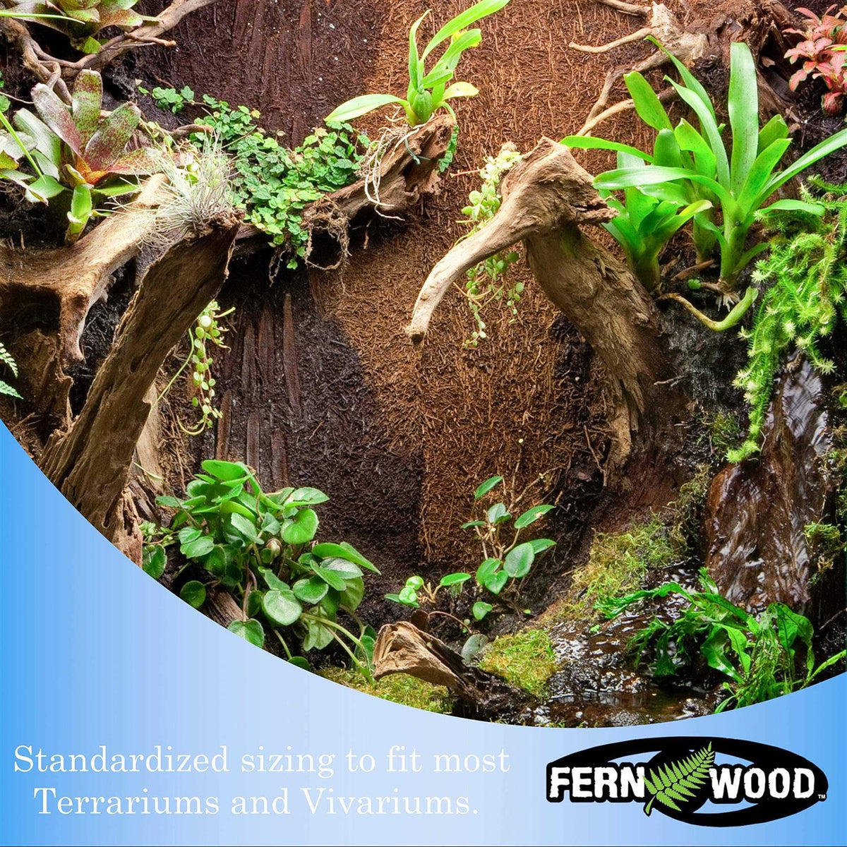 Fern Wood New Zealand Tree Fern Tropical Background Panel Twin Pack P704