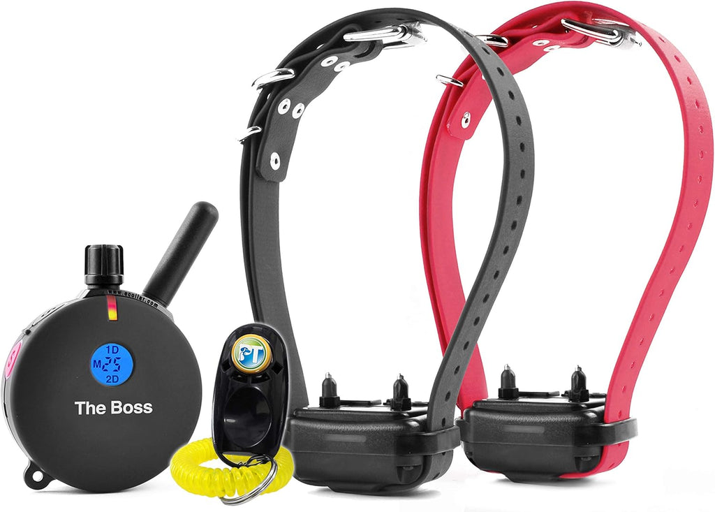 Rechargeable Remote Waterproof Trainer for Two Dogs with Dog Training Clicker H8049
