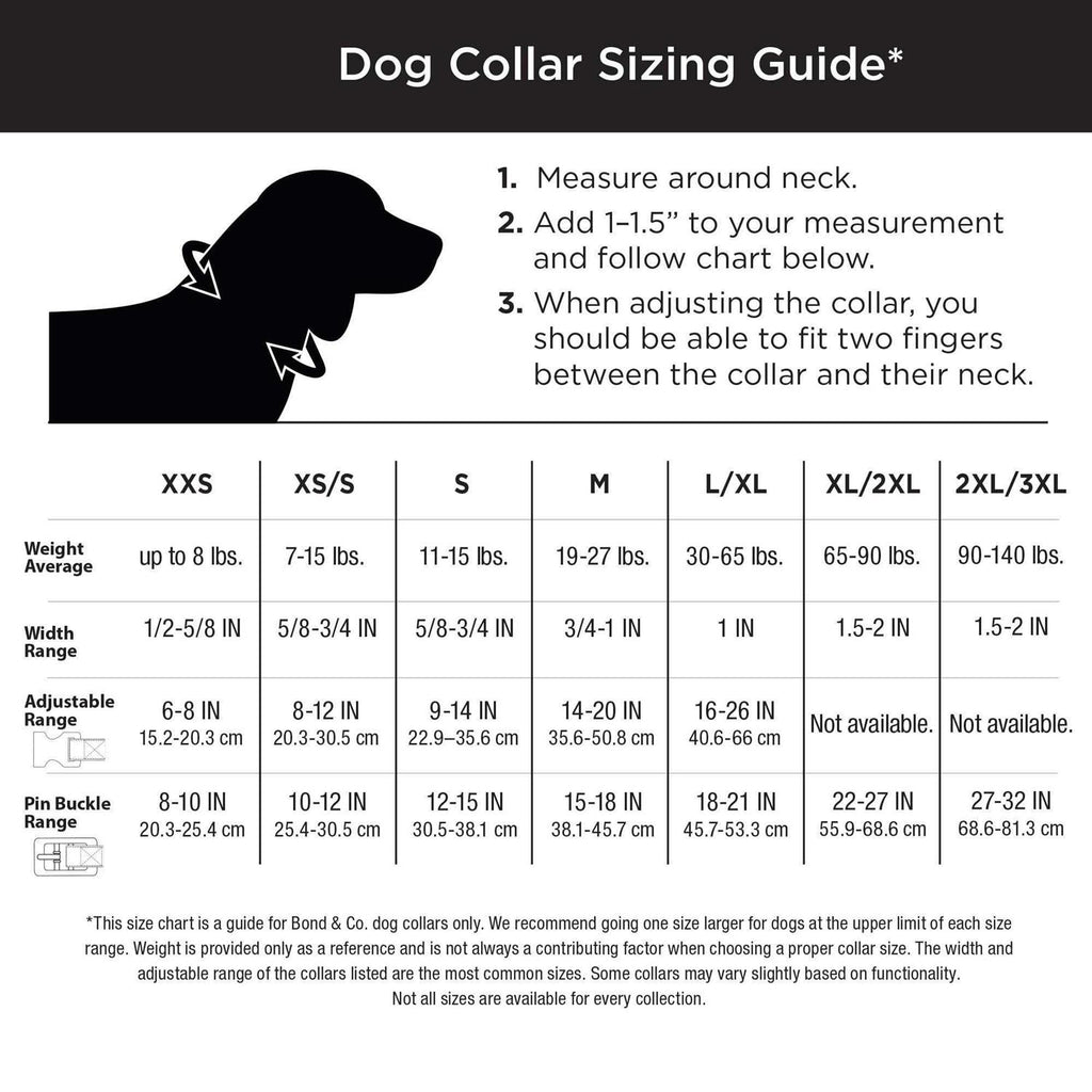 Teal Dog Collar K811976