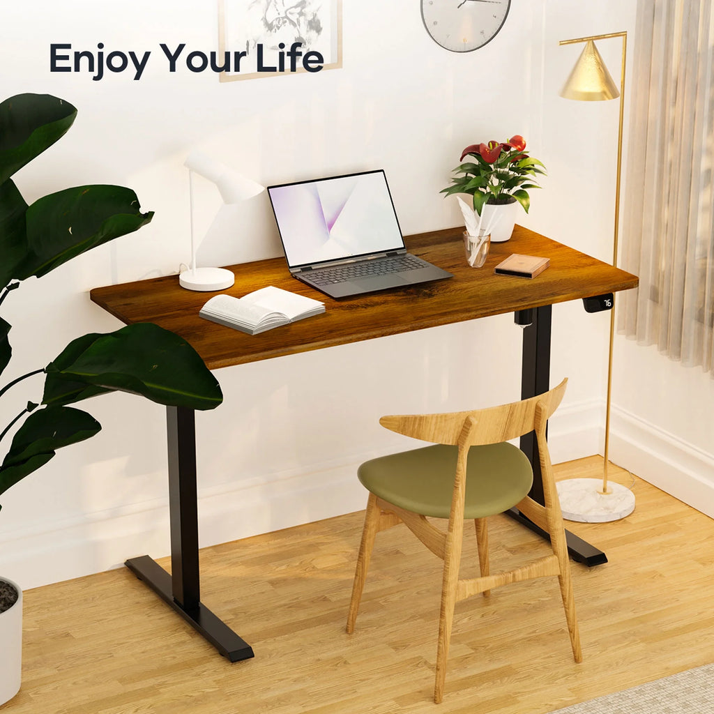 Electric Adjustable Standing Desk 48*24inch Sit Stand S61826