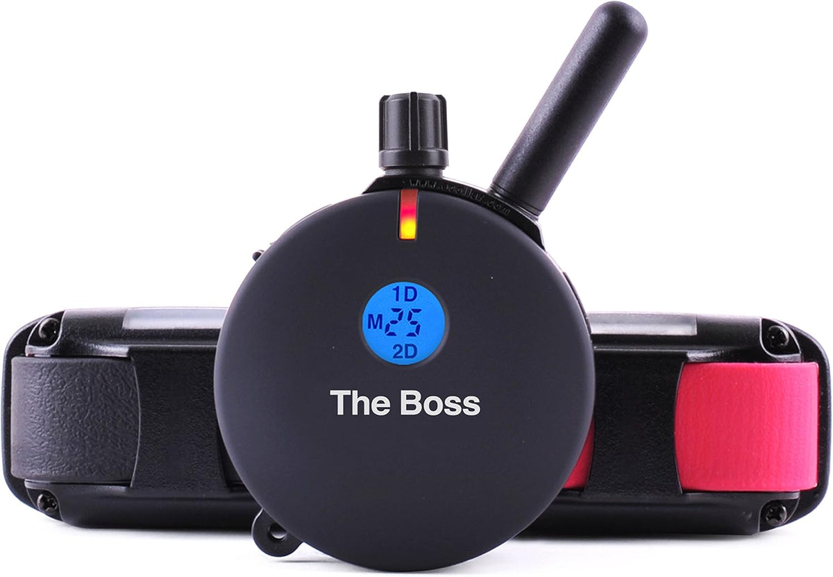 Rechargeable Remote Waterproof Trainer for Two Dogs with Dog Training Clicker H8049
