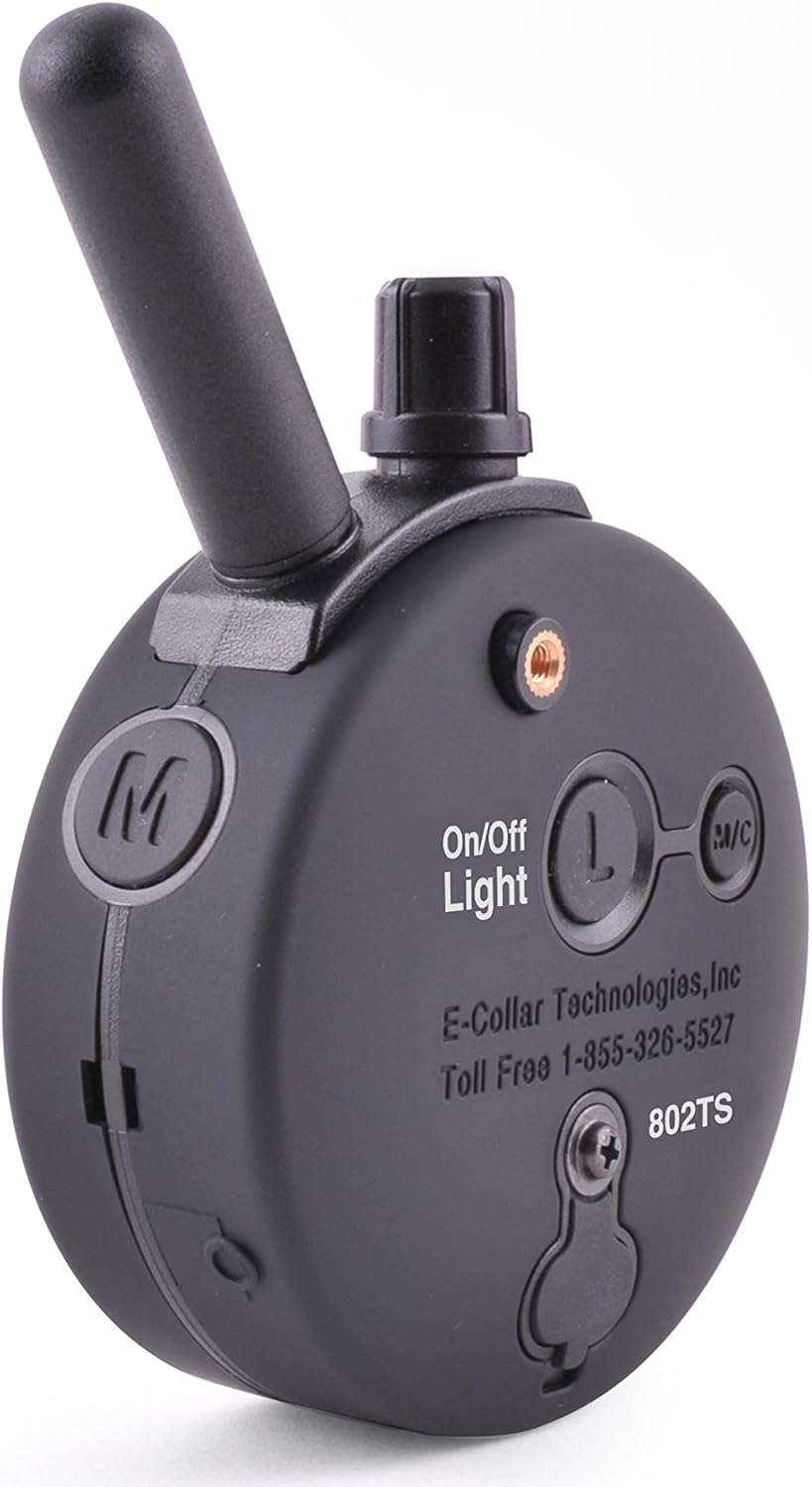 Rechargeable Remote Waterproof Trainer for Two Dogs with Dog Training Clicker H8049