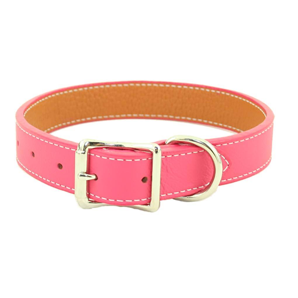 Red 26 Dog Collar Y762031
