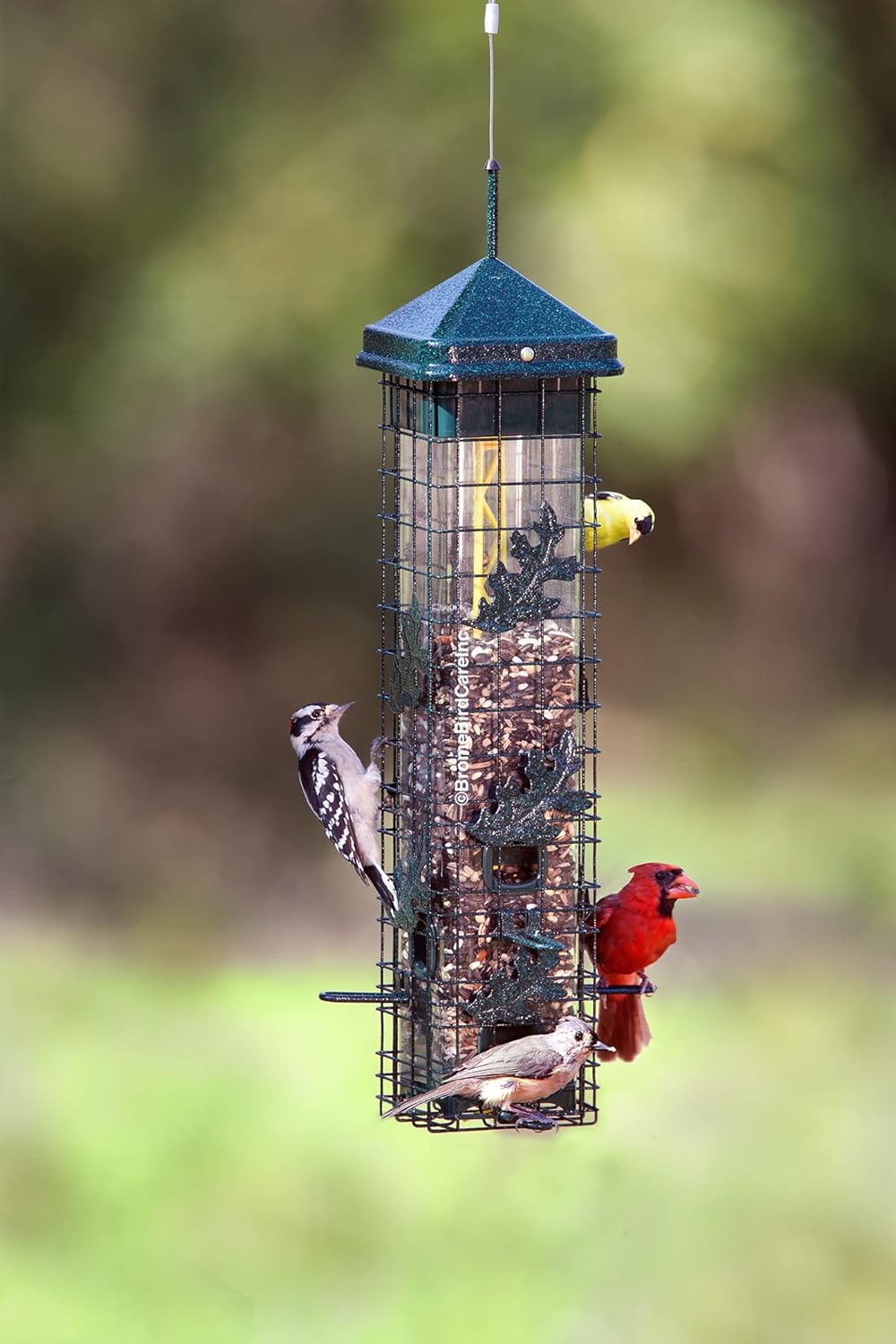 Squirrel-proof Bird Feeder with 6 Feeding Ports, 3.4-pound Seed Capacity S8856