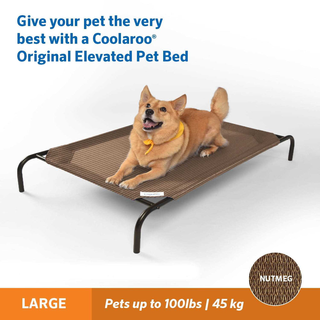 Elevated Pet Bed W921511