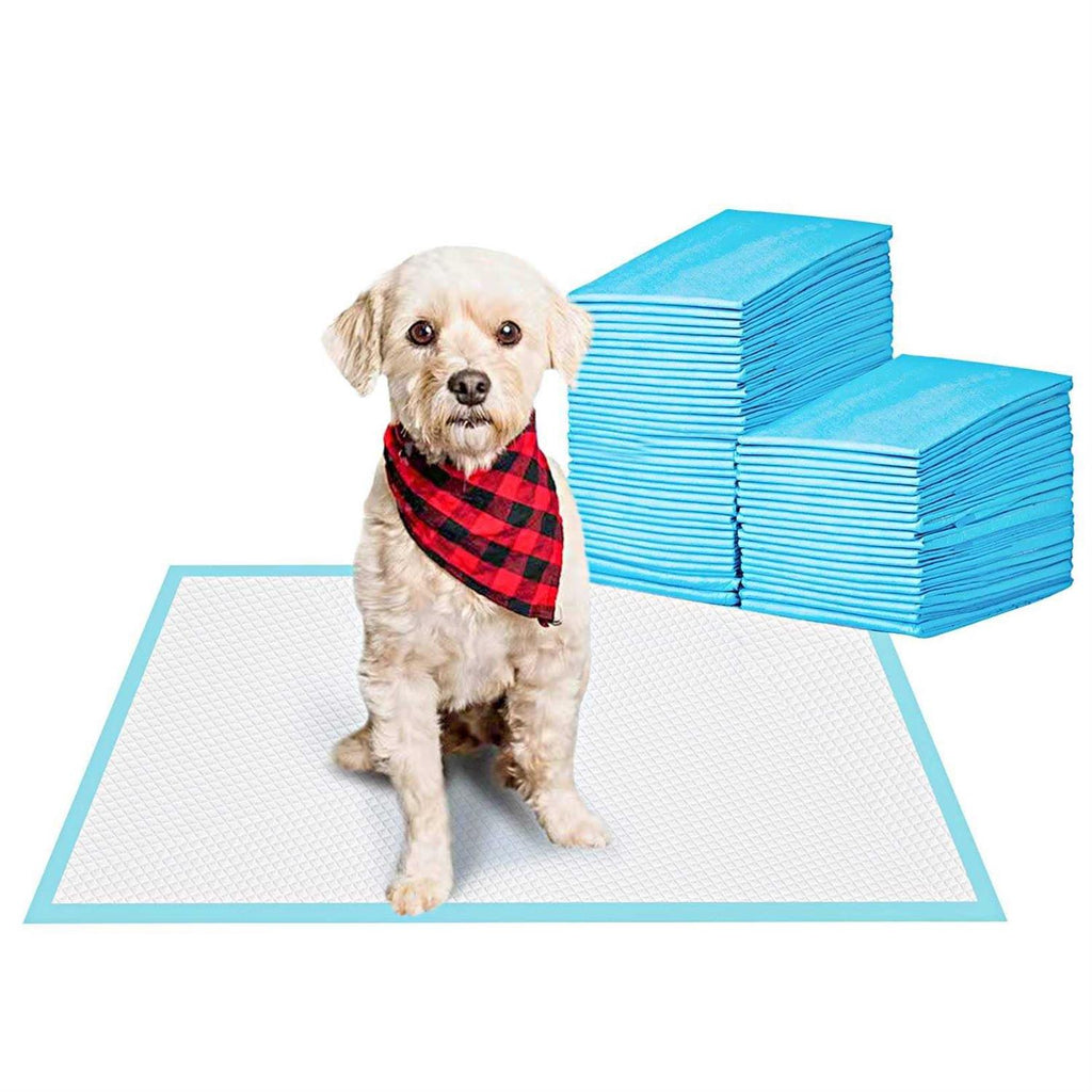 Large Super Absorbent Leak-Proof Pet Training Pads W663446