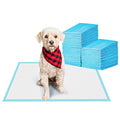Large Super Absorbent Leak-Proof Pet Training Pads W663446