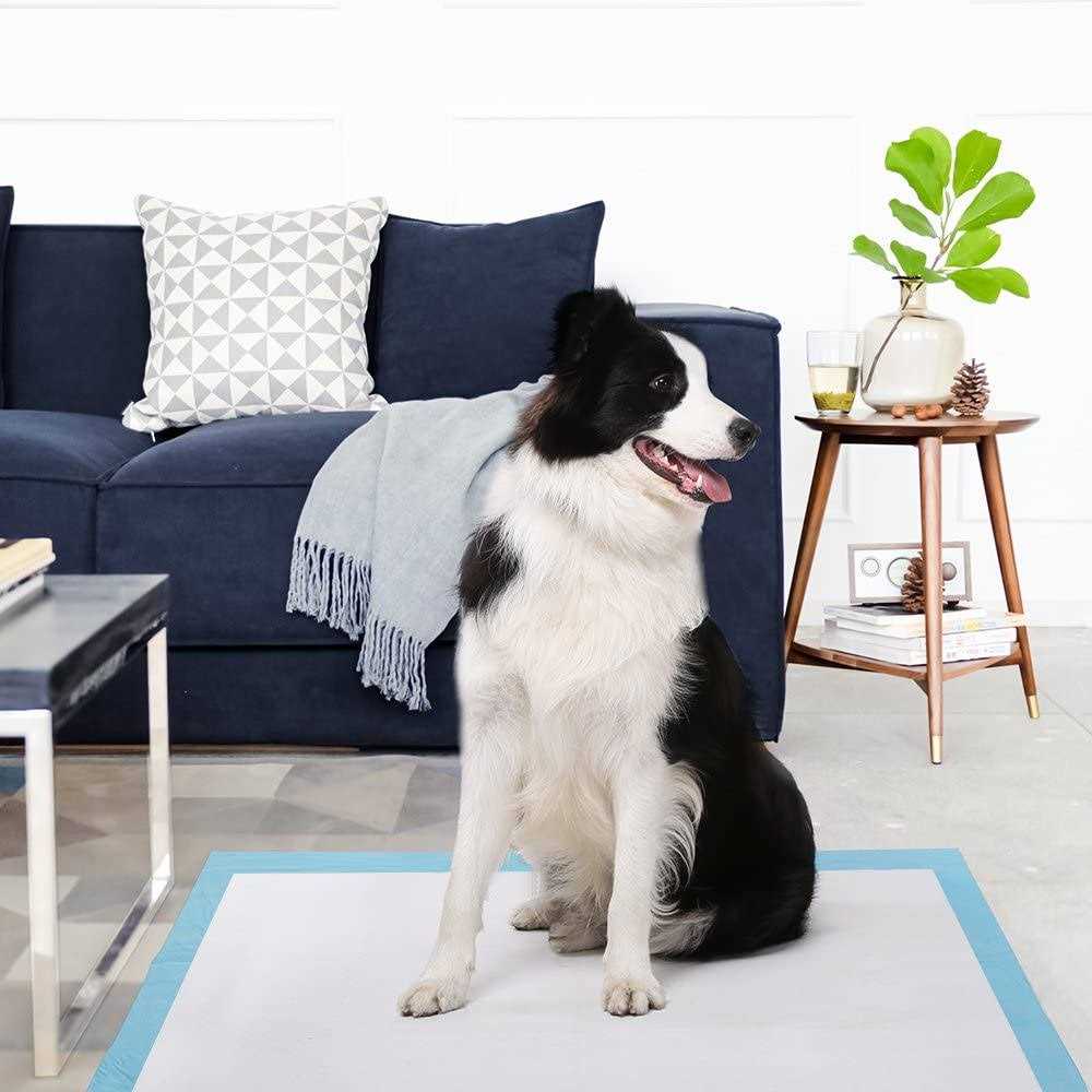 Large Super Absorbent Leak-Proof Pet Training Pads W663446