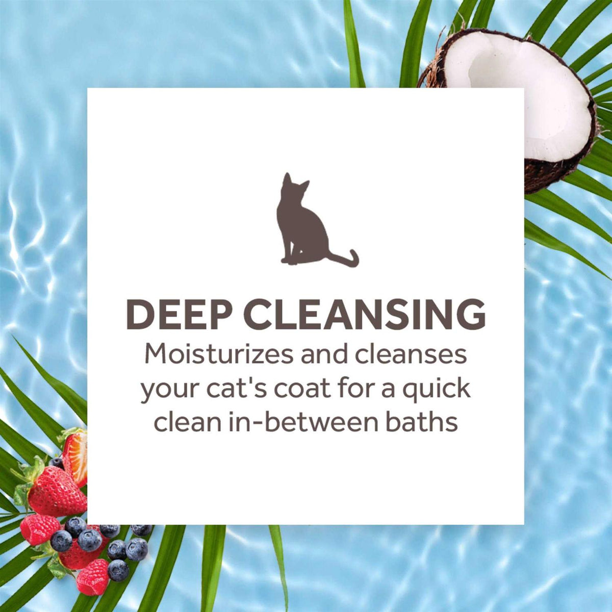 Waterless Deep Cleaning Cat Shampoo D945517