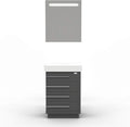24 Inch Single Sink Bathroom Vanity Wood Soft Closing Drawers Ceramic Sink Combo Set Glossy Grey X582
