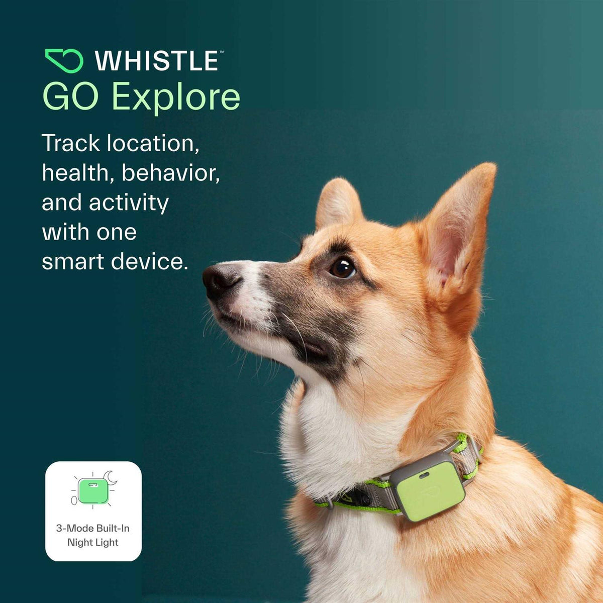 Dog GPS Tracker Y6077