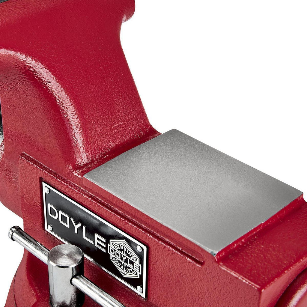 6 in. Swivel Vise with Anvil and Pipe Jaws M113