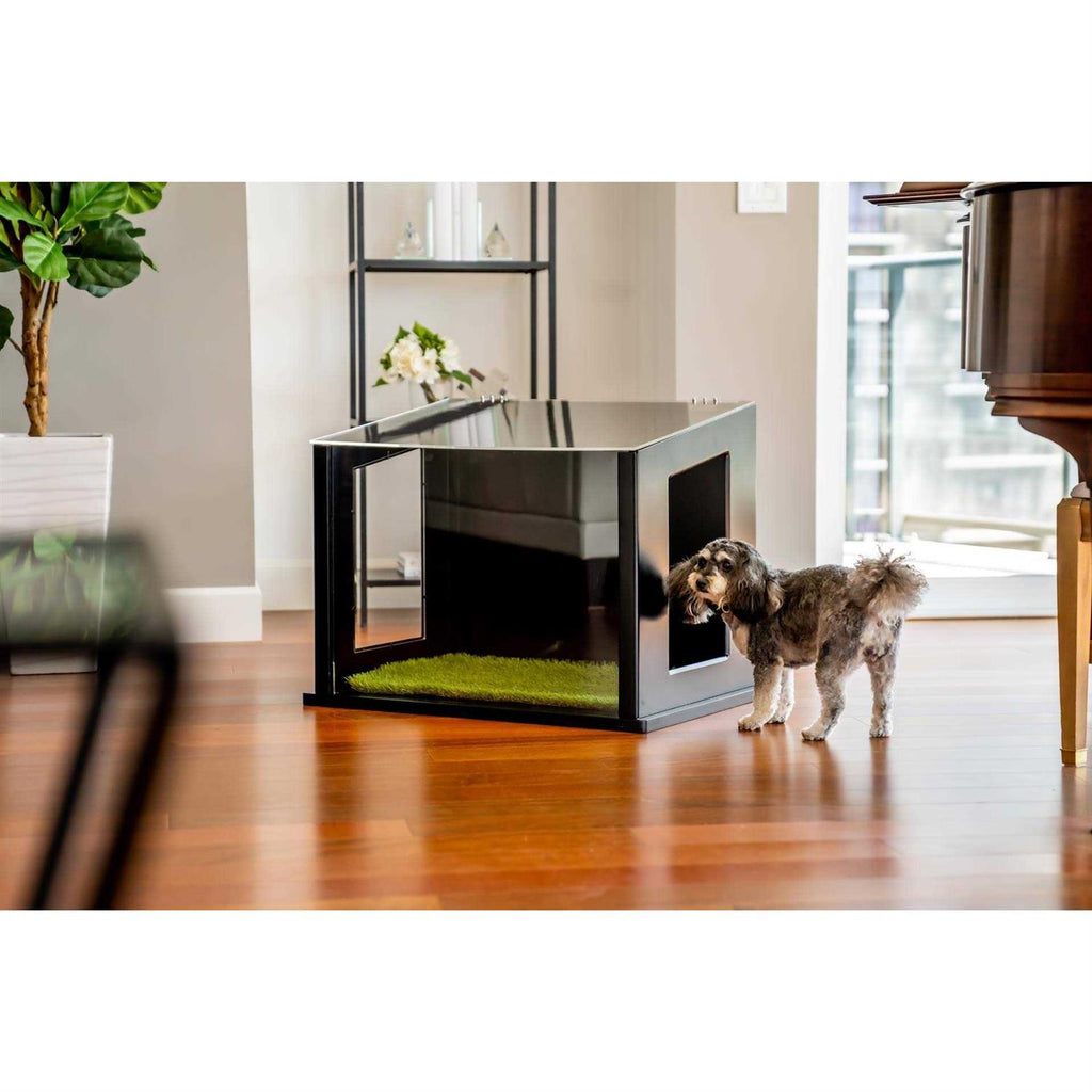 Dog or Cat Potty P20431