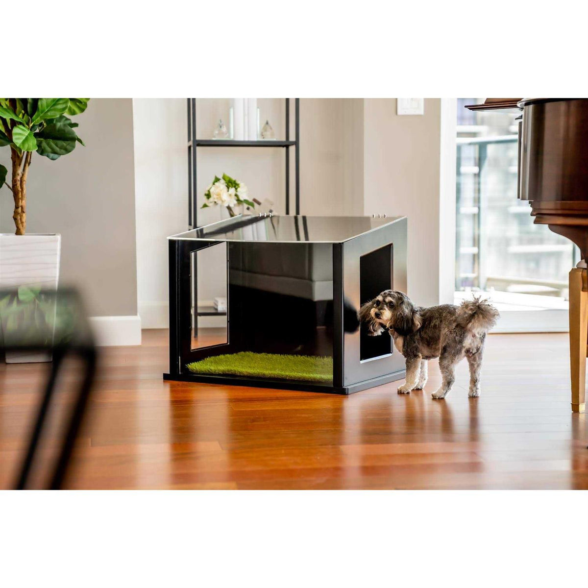 Dog or Cat Potty P20431