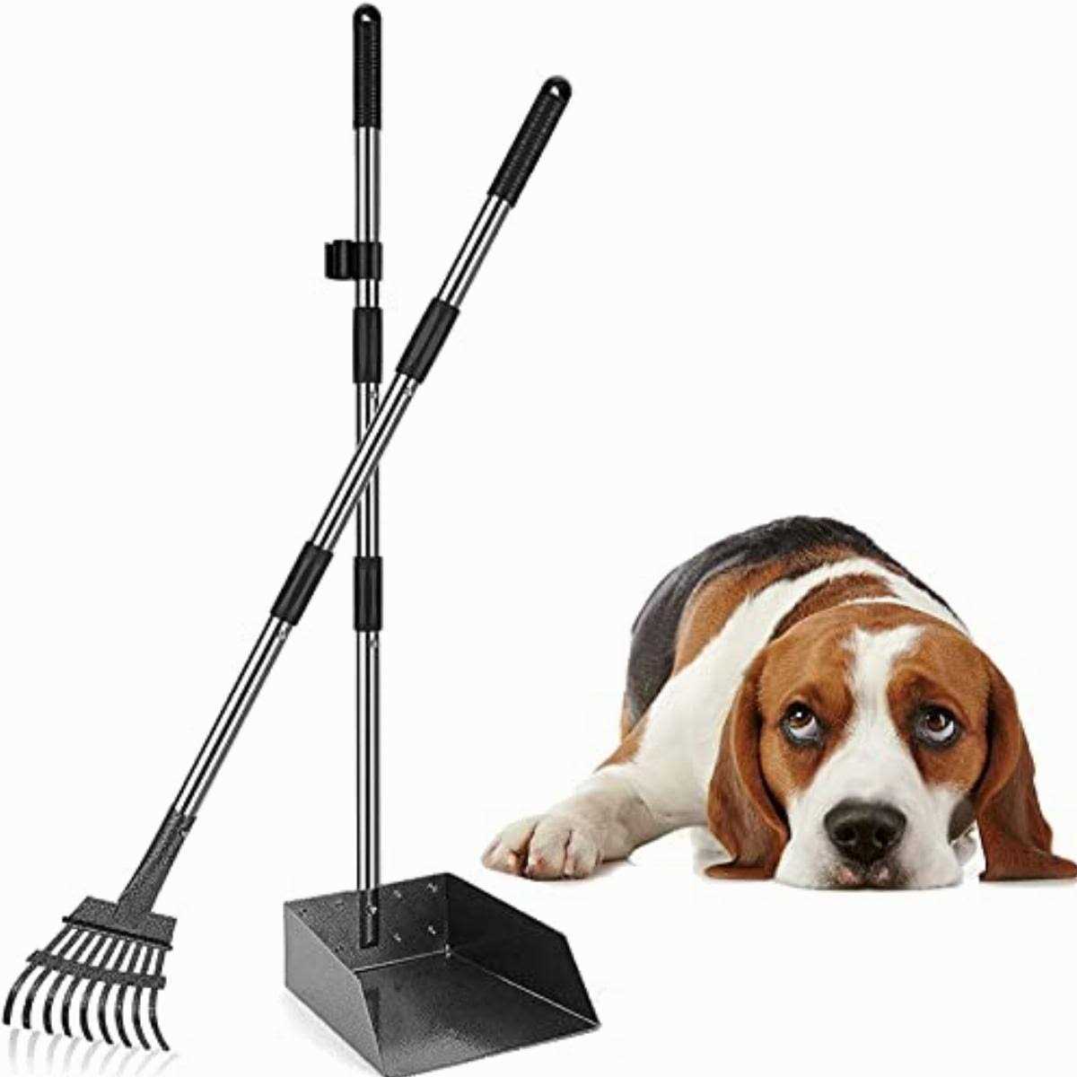 Durable Dog Poop Scoop Long Handle Tray and Rake Set A4869