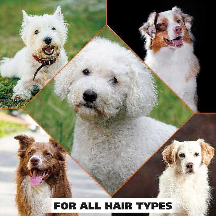 White Brightening Pet Shampoo D52418