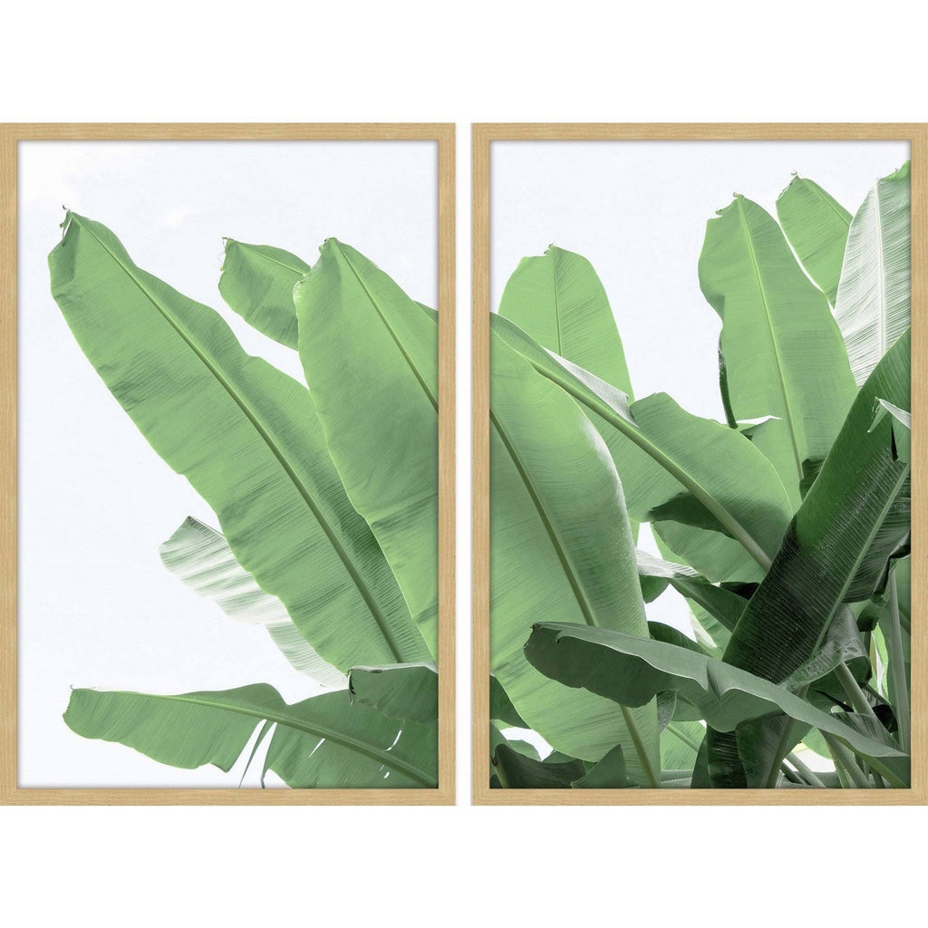 36 inch x 48 inch Diptych S970603
