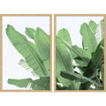 36 inch x 48 inch Diptych S970603
