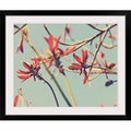Black Frame Photographic Print U77323