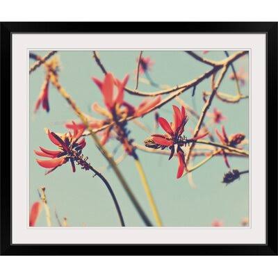 Black Frame Photographic Print U77323