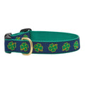 Dog Collar V950