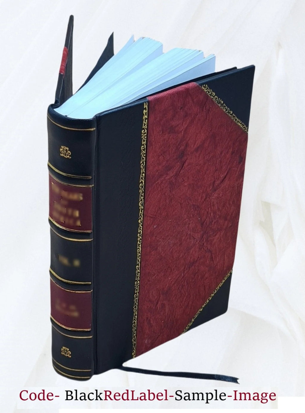 Leather Bound Book X6843