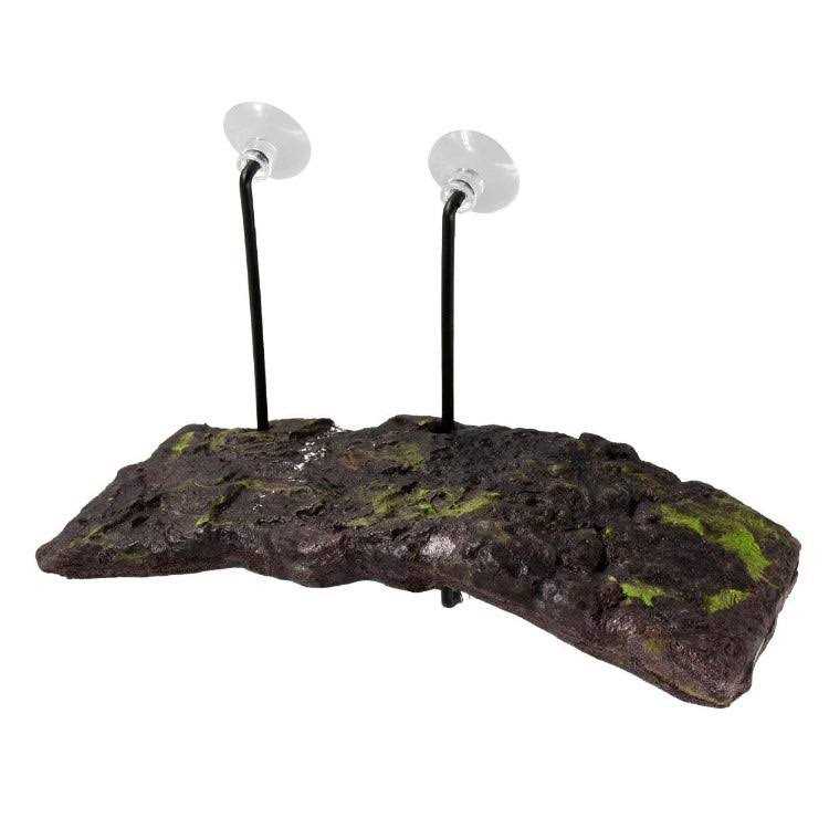 Turtle Dock Suction Cups O1254
