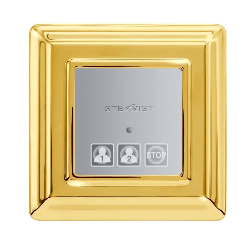 Polished Gold Traditional Control X28468