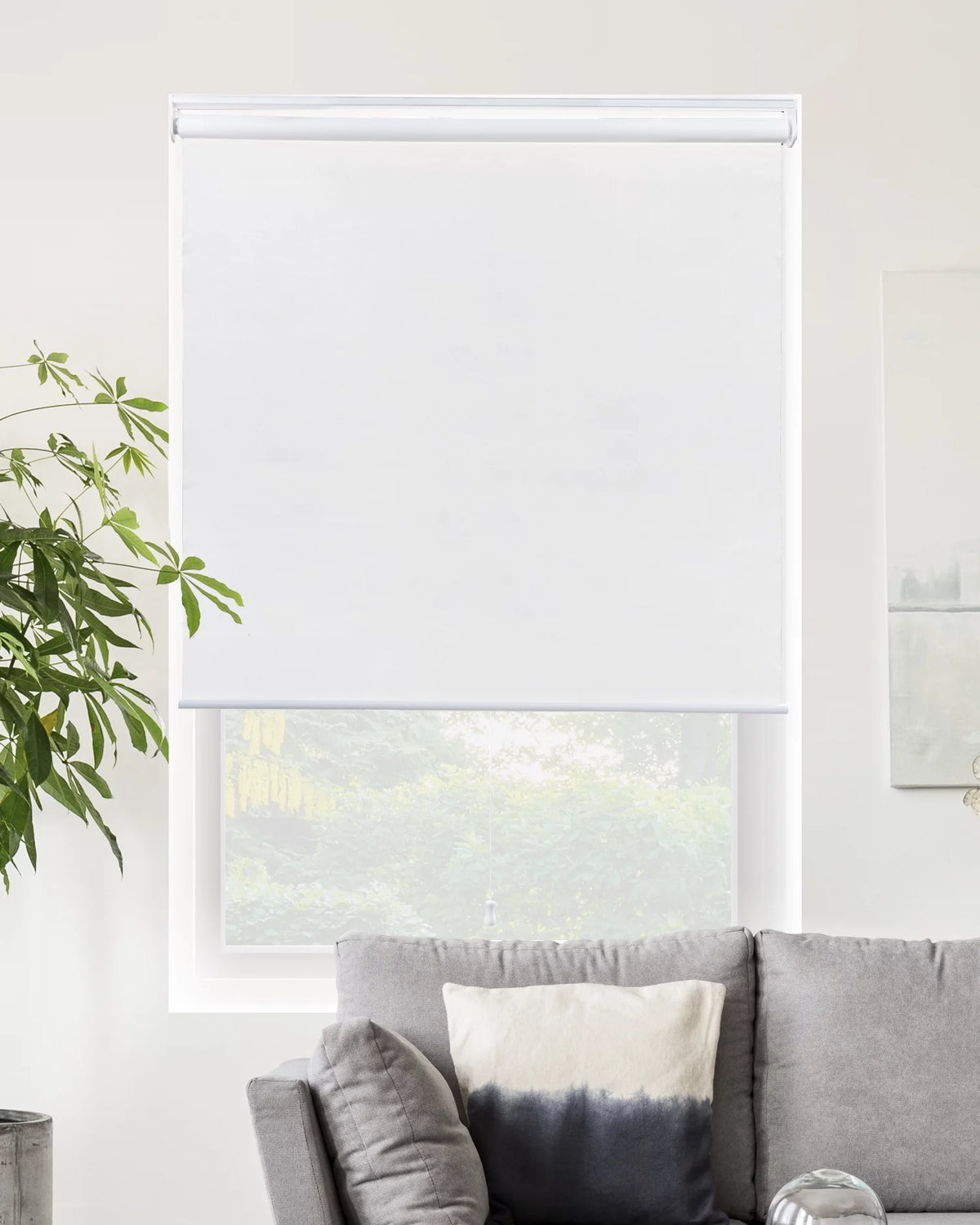 Cordless Roller Shade Blackout 23"W X 72"H Q229